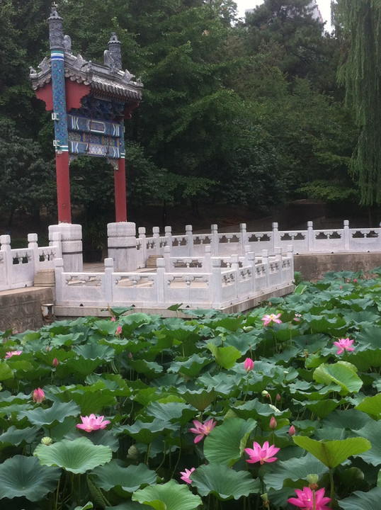【纪念北京积水潭医院建院60周年】北京积水潭医院院