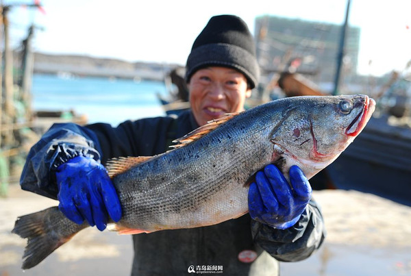 迎天海鲜楼_鲤鱼门海鲜楼图片_海鲜披萨(4)