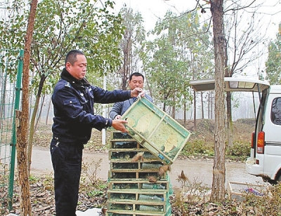 买卖麻雀斑鸠1000余只虞城男子被刑拘(图)