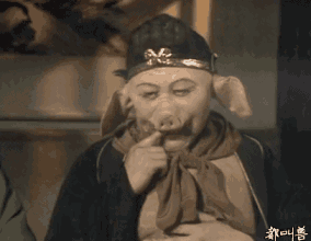 ʵ治ô