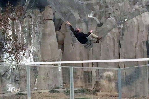男子从缆车跳入动物园吓到老虎 称想“练空翻”