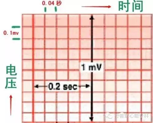 [行善堂答疑]看心电图秒懂早搏,房颤,室上速,窦