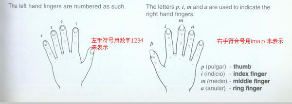 古典吉他左右手技术分析