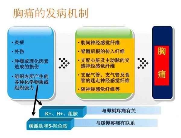 胸痛流程知多少317 / 作者:健康小天使 / 帖子ID:160795 胸痛流程知多少317 / 作者:健康小天使 / 帖子ID:160795