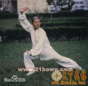 神拳大龙蔡龙云先生逝世享年87岁