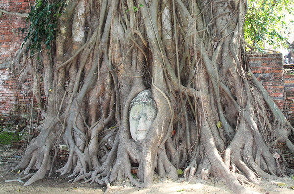 泰国大城ayutthhaya:繁华声遁入空门折煞了世人