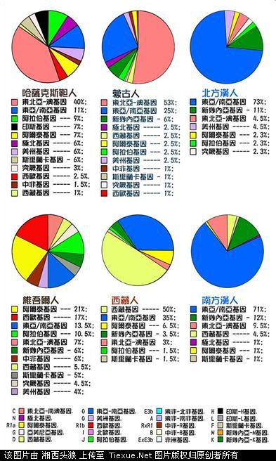 华夏儿女的基因在基因图谱上的变迁