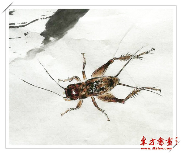刘和平国画作品—蟋蟀篇