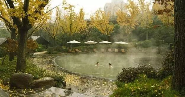 2 :ԼСʱ ɿ СϺȪ ַ:дɿ