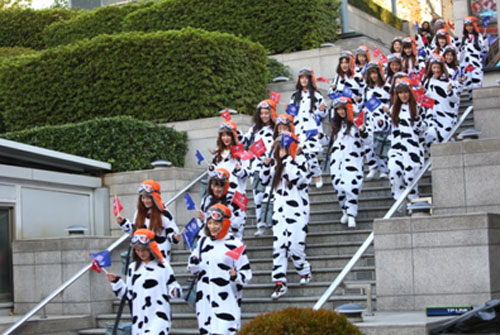 荷兰旗牌进口牛奶 助力京东12.20牛奶节
