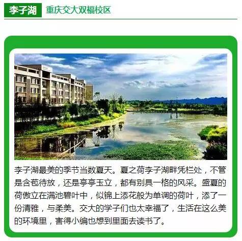江津区有多少人口_最新 重庆14区平均工资和房价对比 看完扎心了