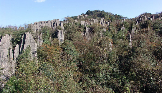 山王坪石林楠竹山,位于重庆南川市的东北面,公园距离南川区城区20