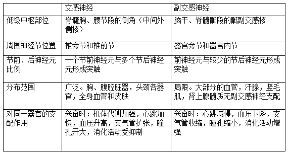 交感神经和副交感神经的鉴别