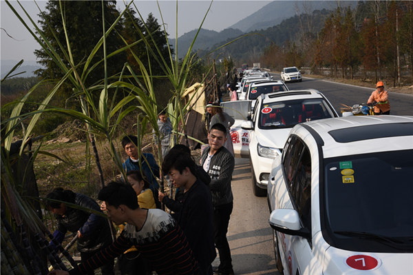 甜甜的陶山甘蔗,祝S6车主从头甜到尾