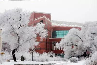 齐齐哈尔大学艺术学院,银光素裹.