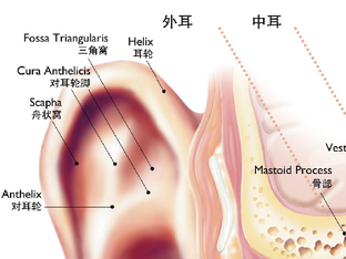 老年性人口_耳聋是怎样发生的 老年性耳聋真的是人老正常现象,没办法治疗吗(3)