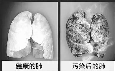 有充足证据显示,暴露于户外空气污染中会致肺癌,接触颗粒物和大气污染