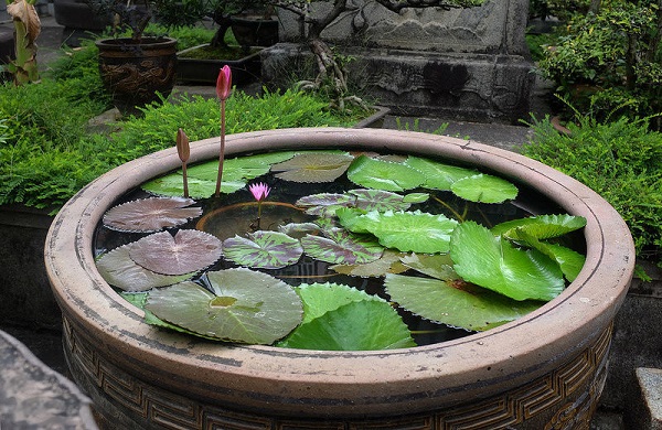 别墅装修:露水庭院竟美!中红颜的香港别墅在哪儿水景图片