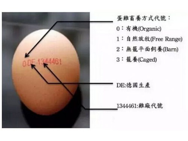 炙手人口_炙烧三文鱼手握图片(2)