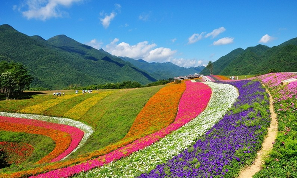 红池坝草原