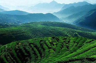 东印茶山风景区