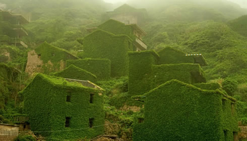 荒弃的中国无人村被绿藤覆盖