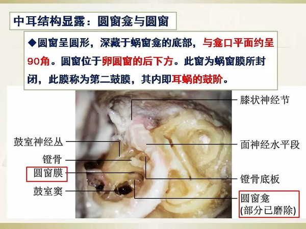 大讲堂"听力学与耳鼻咽喉头颈外科"公众号:audiology_ents