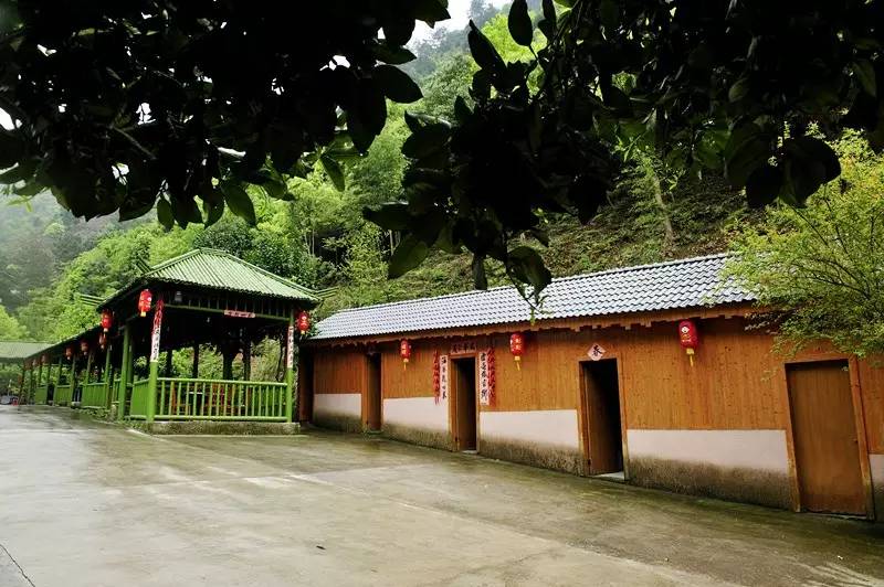 虎泉山庄日前,我县千岛湖镇虎泉山庄,文昌镇高垄农庄,富文乡王子谷
