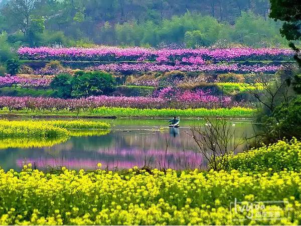 桃花坞