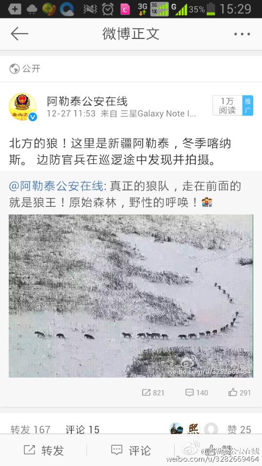 新疆边防官兵拍到雪中狼队 实为纪录片截图