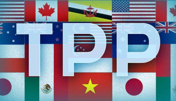 中国开始讨论参加TPP可能性?官方持开放