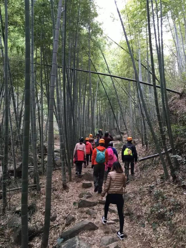 "高蛋白摄入"|莫干山全球首个discovery探险基地
