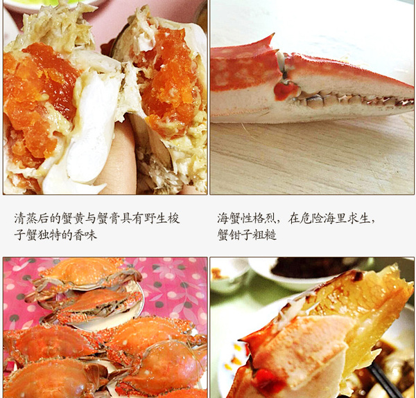 天猫超市 舟山梭子蟹元旦春节肥美上市