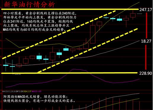 假如俄罗斯GDP_二战伤亡最大的战役, 伏尔加格勒保卫战(2)