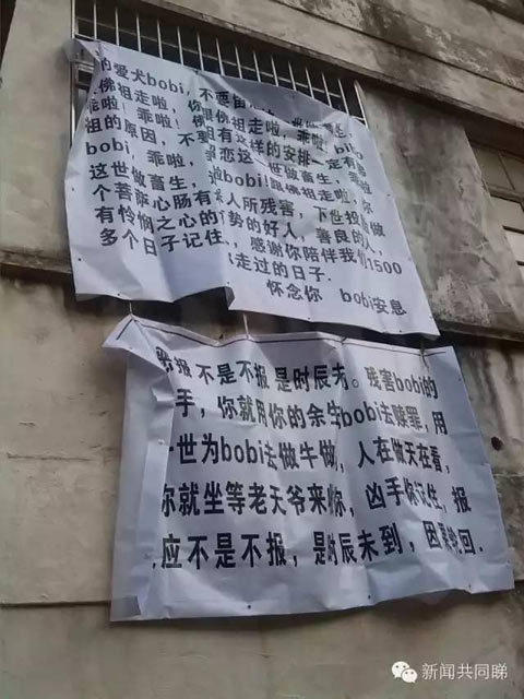 广东一女子爱犬被打死 摆数十花圈悼念控诉凶手