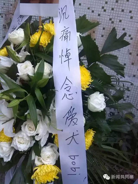 工厂旁一单位的员工周先生表示:“她已经连续来了一星期了,每次过来就带束花,然后祭拜、念经,有次还带着孩子过来念经。我觉得她有爱心很好,但不应该影响他人,且对孩子有影响,我现在都不想回单位上班了。”另一名市民劳小姐则表示:“虽然很同情她的遭遇,但我觉得她应该通过正常渠道去表达诉求,而且为一只狗摆几十个花圈、做法事,我觉得有点过了,希望她能早日走出伤痛吧。”