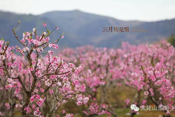 福鼎前岐～佳阳,赏心悦目的好去处.
