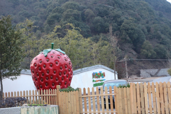 建德果蔬乐园红群高科技草莓采摘基地