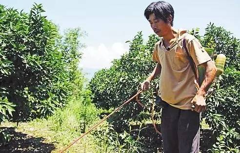 我来自重庆农村,你会嫌弃我吗?