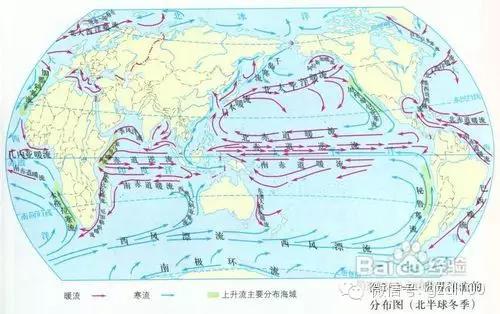 世界渔场的形成条件和地理位置