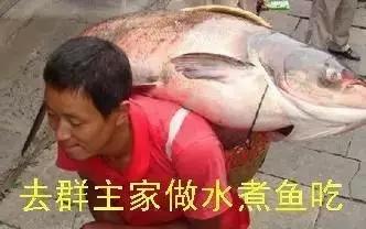 群里一美女写给群主的工作报告