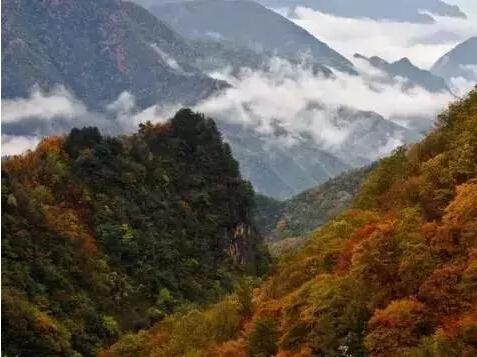 当地人俗称