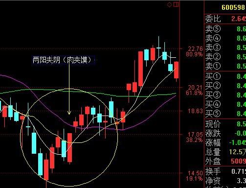 今春切忌阴人口_人口普查(2)