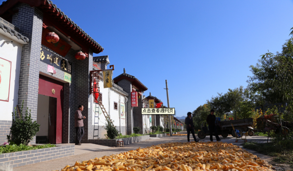 巩义市新中镇杨树沟村