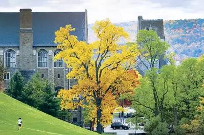 康奈尔大学 cornell university