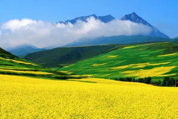 青海湖人口_青海湖图片风景(2)