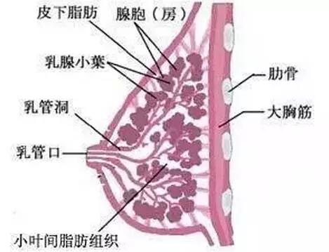 产妇奶路不通怎么办开