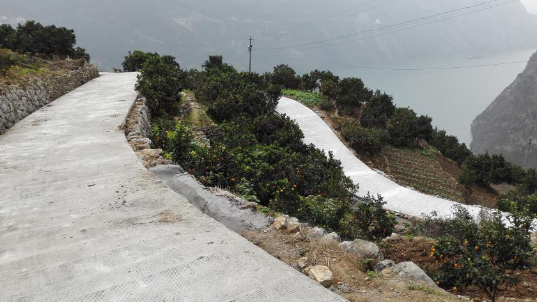 秭归县长江村第二村落硬化公路通车