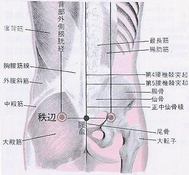 坐骨神经痛,按摩这4个地方轻松解决你的小烦恼