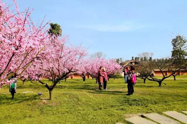 2016秀丽东方梅花节开幕在即|游玩攻略新鲜出炉,邀您新年玩个嗨皮